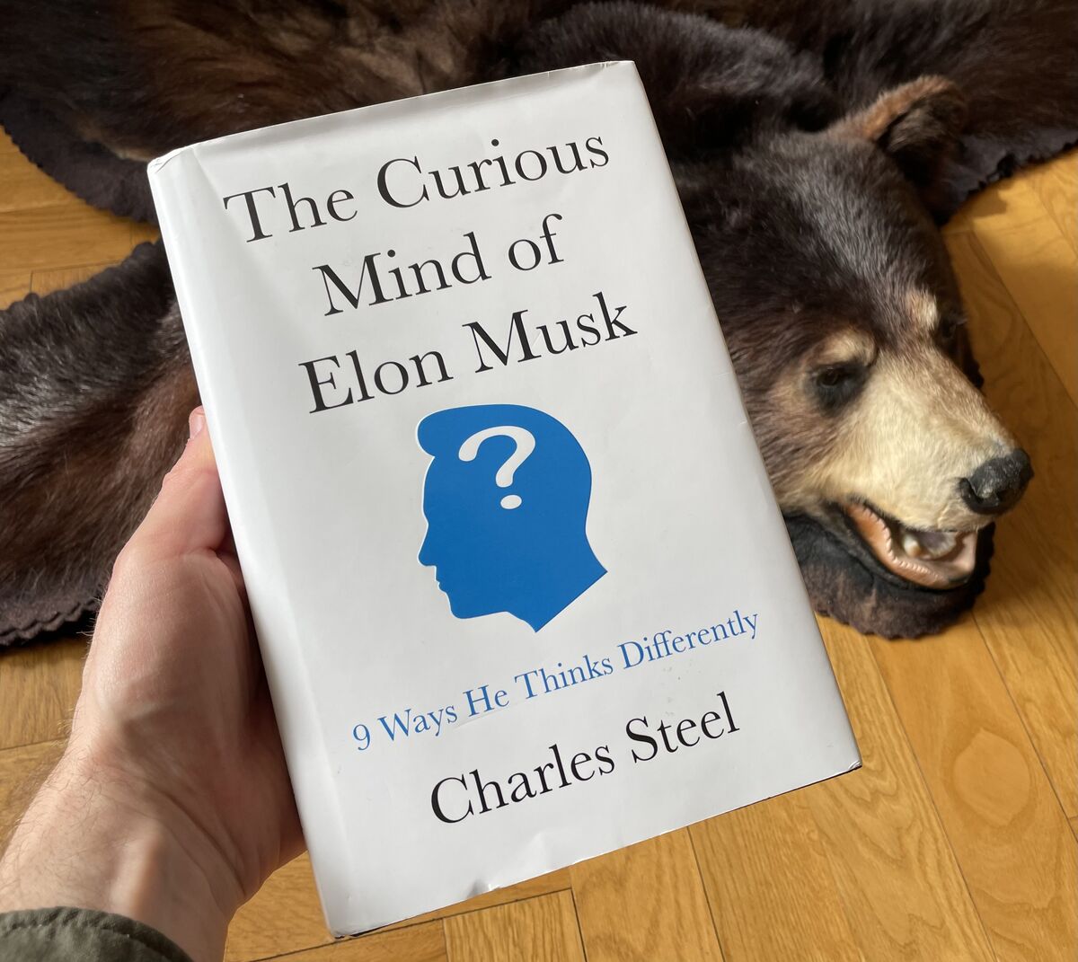 The Curious Mind of Elon Musk by Charles Steel