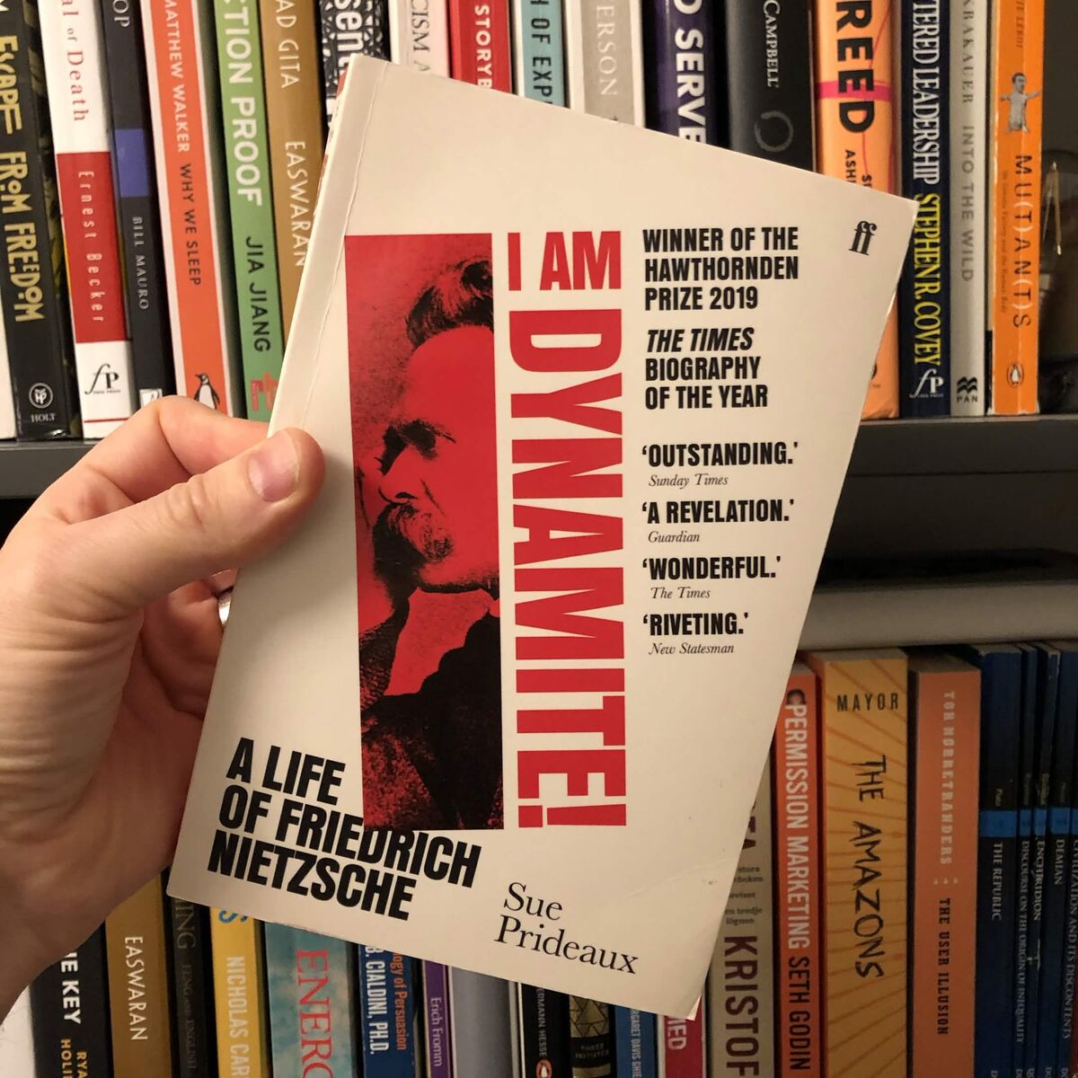 I Am Dynamite! by Sue Prideaux — BookLab by Bjorn