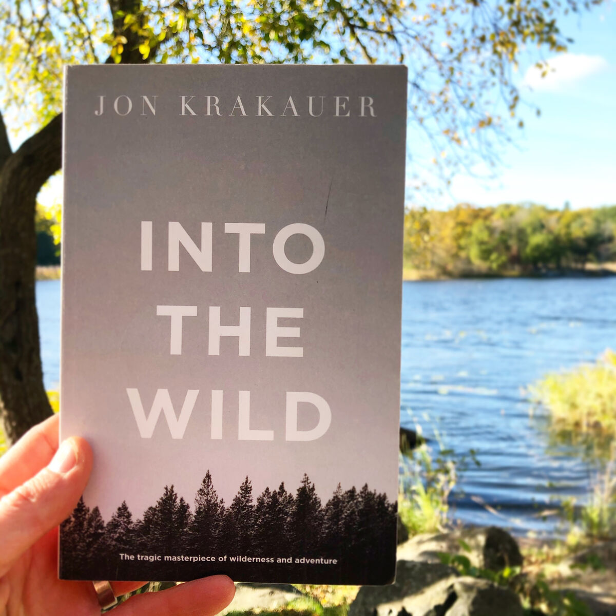 Into the Wild by Jon Krakauer — BookLab by Bjorn