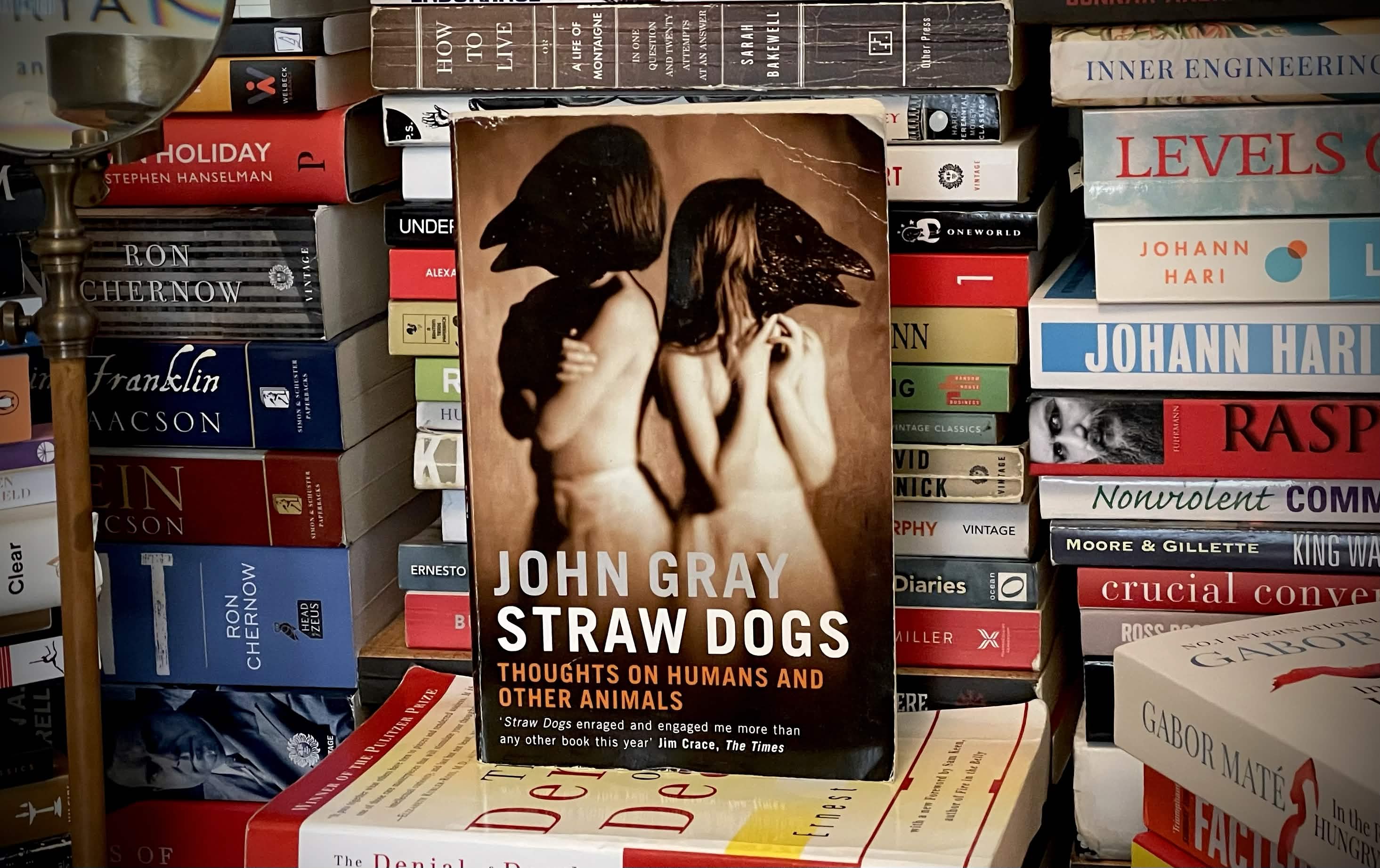 Straw Dogs by John Gray — BookLab by Bjorn